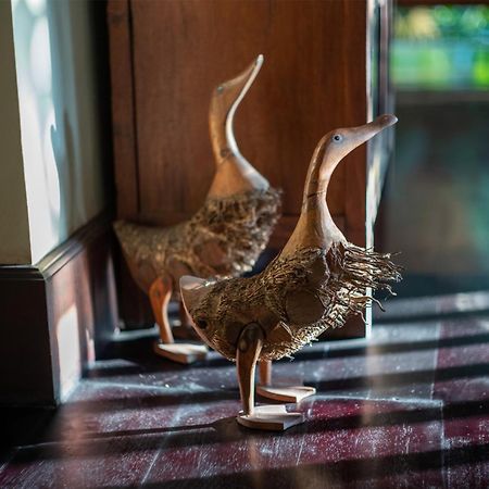 Villa Alamanda ウブド エクステリア 写真